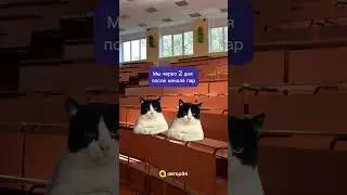 pov: мы с другом сдали сессию 