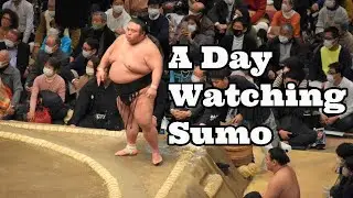 What Is It Like Going to a Sumo Tournament in Japan?