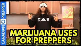 Marijuana Uses for Preppers and Freeze Drying Weed!