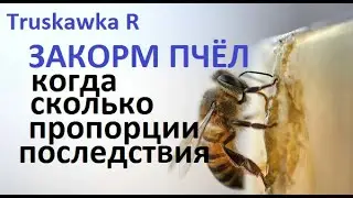 #Пчёлы. Как и когда правильно закормить пчёл на пасеке. Какие нюансы, ошибки и последствия