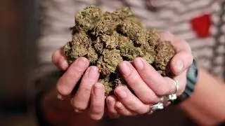 This is how much legal pot you can fly with in Canada