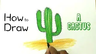 How to Draw a Cactus