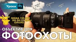 🥵 New Sigma 150-600mm f5-6.3 DG DN OS Sport review