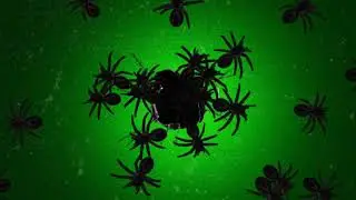 Best Spider Green Screen Effect