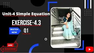 How do you do simple equations? (Part-6)