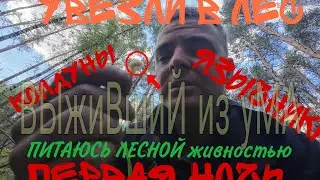 ВЫЖИВШИЙ ИЗ УМА : первый день выживания в лесу