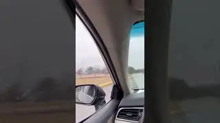 Falcon Hunts From a Car