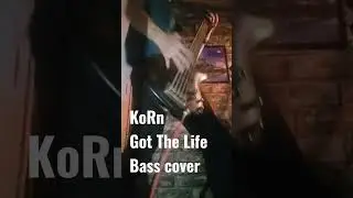 KoRn/Got The Life[bass cover]