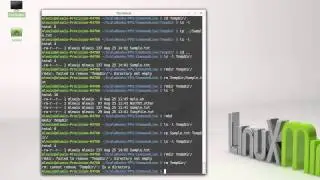 Manipulating Directories (Command Line)