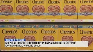 Chemical linked to infertility in animals found in Cheerios