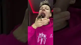 TikTok: ядовитый паук на лице 😵