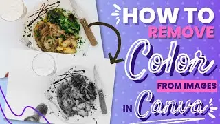 How To Remove Color From Images In Canva - Quick & easy to do!