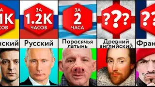 Простейшие В Изучении Языки