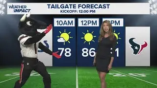 Texans gameday forecast: Sunny with a 100% chance of Toro