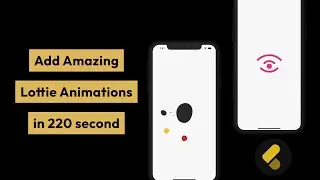 Lottie Animation in Flutter (The right way)| Flutter animations Tutorial [2022]