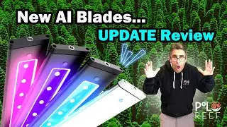 4-month review of the Blade Lights. NUMBERS DON'T LIE!