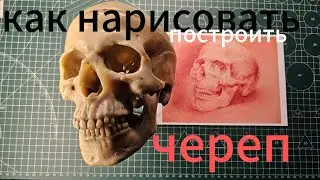 как нарисовать , построить череп. как обобщить сложную пластику. разбор ошибок в описании.