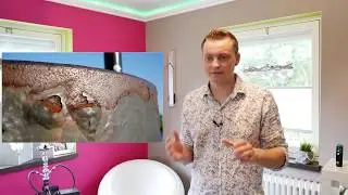 Wie kann man Farbtöne auf Knopfdruck  herausfinden ? Mit dem Color Reader Pro von Caparol