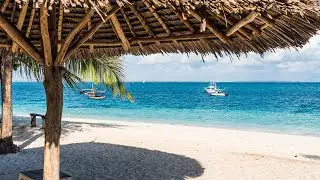 Bossa Nova Beach Music with Beautiful Seaside Ambience for Relaxation