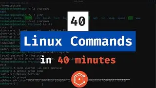 40 Essential Linux Commands in 40 Minutes