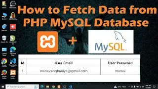 Fetch Data From PHP MySQL Database