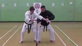 Seiyunchin Renzoku Bunkai