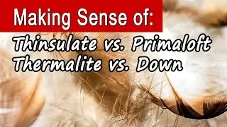 Which Is Better: Thinsulate, Primaloft, Thermalite, or Down?