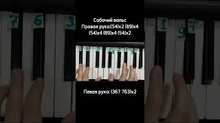 С этой мелодии начинает каждый пианинист Собачий вальс на пианино 🎹 Обучение