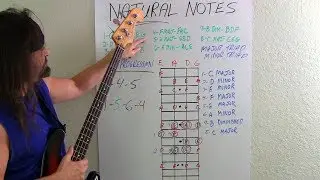 Bass Guitar For Beginners What Bassists Should Know