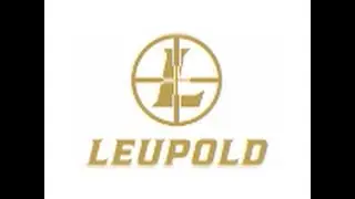 Leupold Mark 6 1 6x20