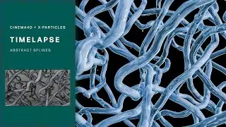 C4D TIMELAPSE - Abstract splines with xpDynamics