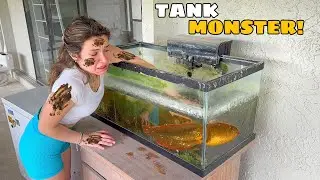 MONSTERS FOUND LIVING IN GREEN-SLIME TANK!