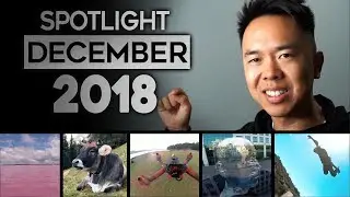 Community Spotlight! December 2018