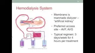 MNT CKD Part 2 Diagnosis and Medical Treatment