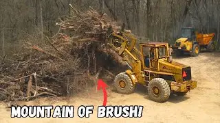 Clearing Trees for a DREAM HOME!