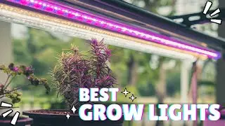 Best Grow Lights 2025 [Watch This Before You Decide to Buy]