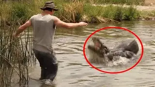 12 Times Humans Messed With The Wrong Animals (Part 2)