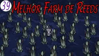 Wanda Eps 39 - Melhor Farm de Reeds e Armadura Imune a Fogo / Don't Starve: Together