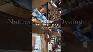 Japan blue- Natural Indigo Dyeing-