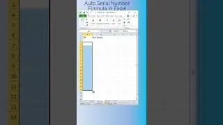 Automatic Serial Numbering in Excel #exceltech #excel