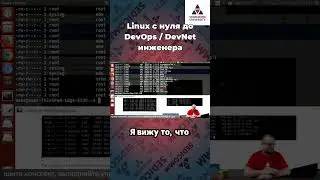 Курс #linux с нуля до #devops / #devnet инженера. Опции сортировки