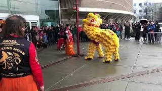 2020 Chinese Spring festival lion dance at T &  T Richmond BC Canada (2020 列治文大统华春节舞狮表演）