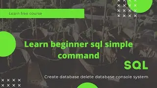 SQL | Web Designer must know this | How to create and delete DATABASE console system | lifetoor