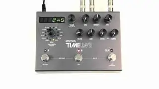 Strymon TimeLine - Lo-Fi Delay Machine audio clips