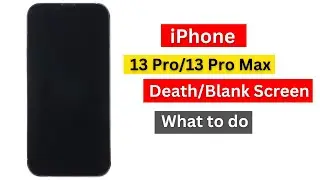 iPhone 13 Pro/13 Pro Max blank screen of Death fixed.