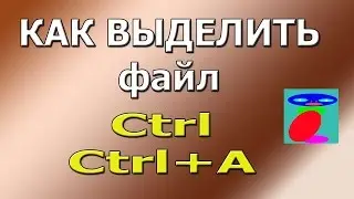 Как выделить файл. Как выделить все файлы или несколько.