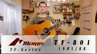 Morris TF-801 1981/88, обзор гитары