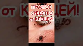 Простое средство от клещей