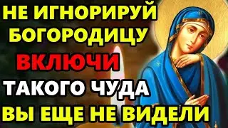 21 августа ПРОЧТИ 1 РАЗ БОГОРОДИЦА СОТВОРИТ ЧУДО! Молитва Богородице от бед и несчастий. Православие