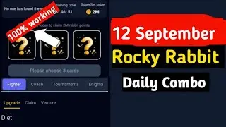 Rocky Rabbit Daily Combo 12 September | Rocky Rabbit Daily Combo Card Today